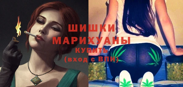 прущие грибы Баксан