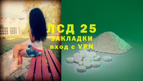 прущие грибы Баксан